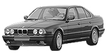 BMW E34 U209D Fault Code
